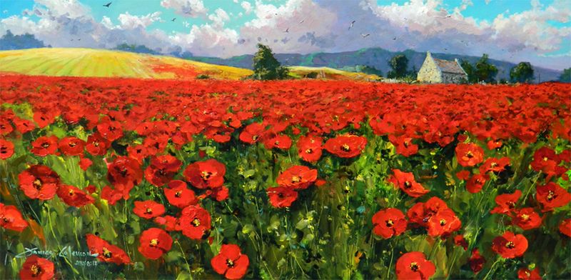 James Coleman Poppies in Provence (SN) (Small)